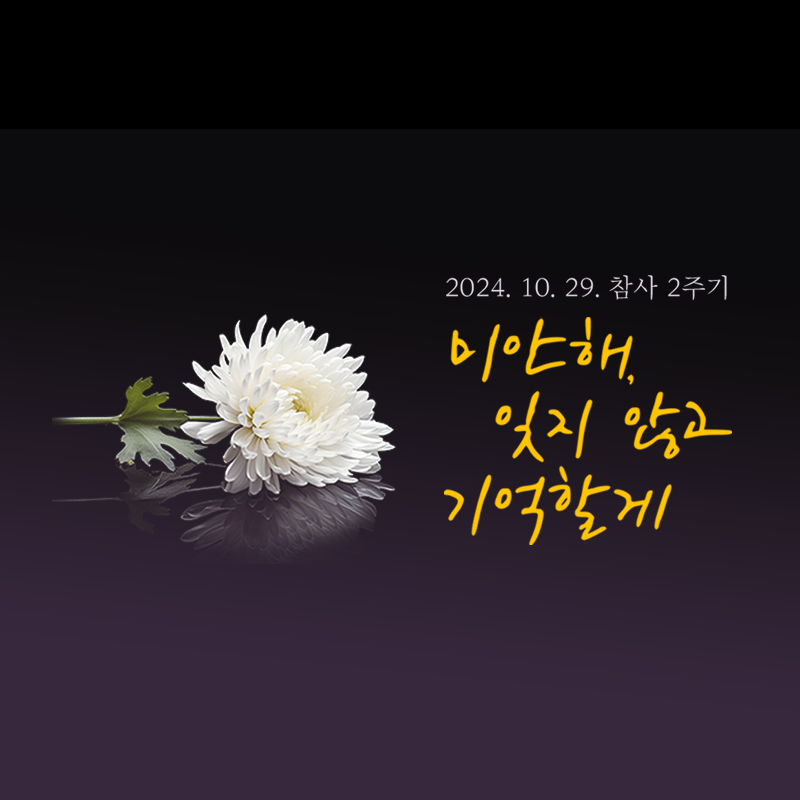 이태원 참사 2주기 추모 이미지. 국화 한송이 이미지 옆에 '2024. 10. 29. 참사 2주기, 미안해, 잊지 않고 기억할게' 글귀가 있다.